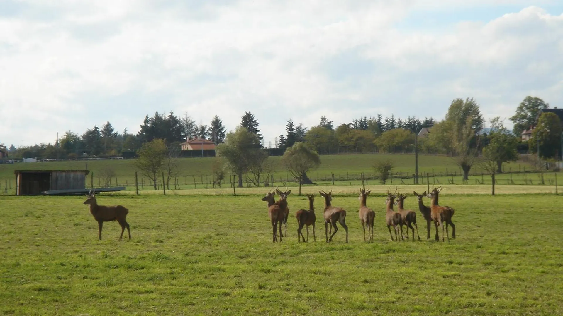 La Ferme Aux Biches Bed & Breakfast Commelle-Vernay